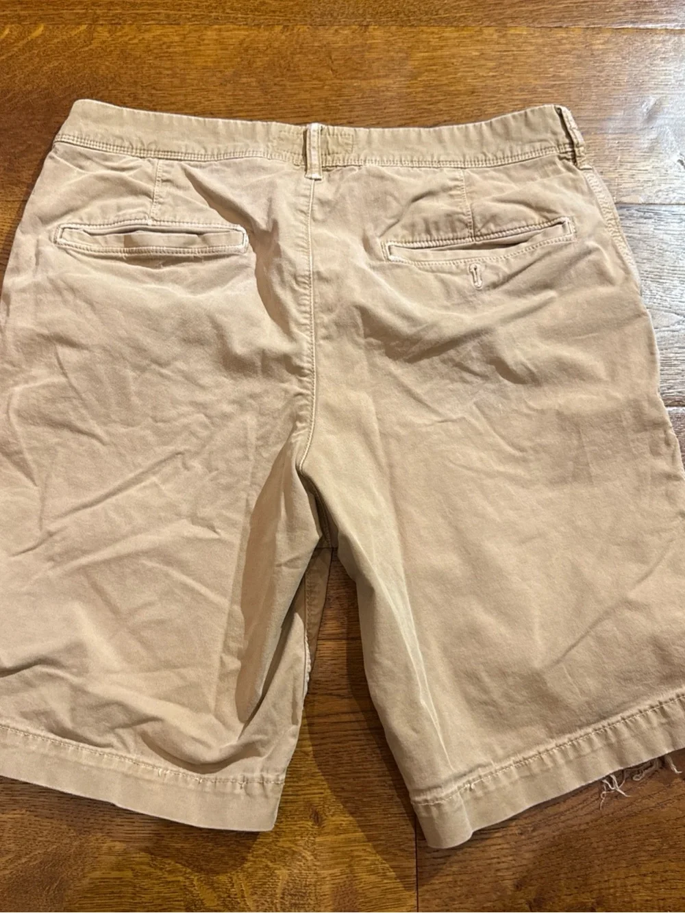 American Eagle Outfitters Tan Flat Front‎ Men’s Shorts